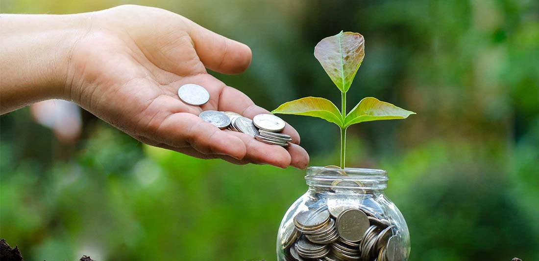Coins and a growing plant